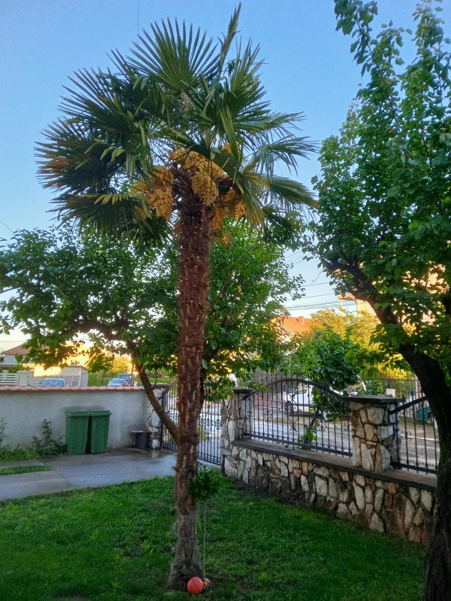 Apartman Zafirovi غيفيغليا المظهر الخارجي الصورة